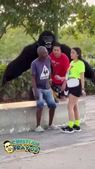 gorila fake prank #funny