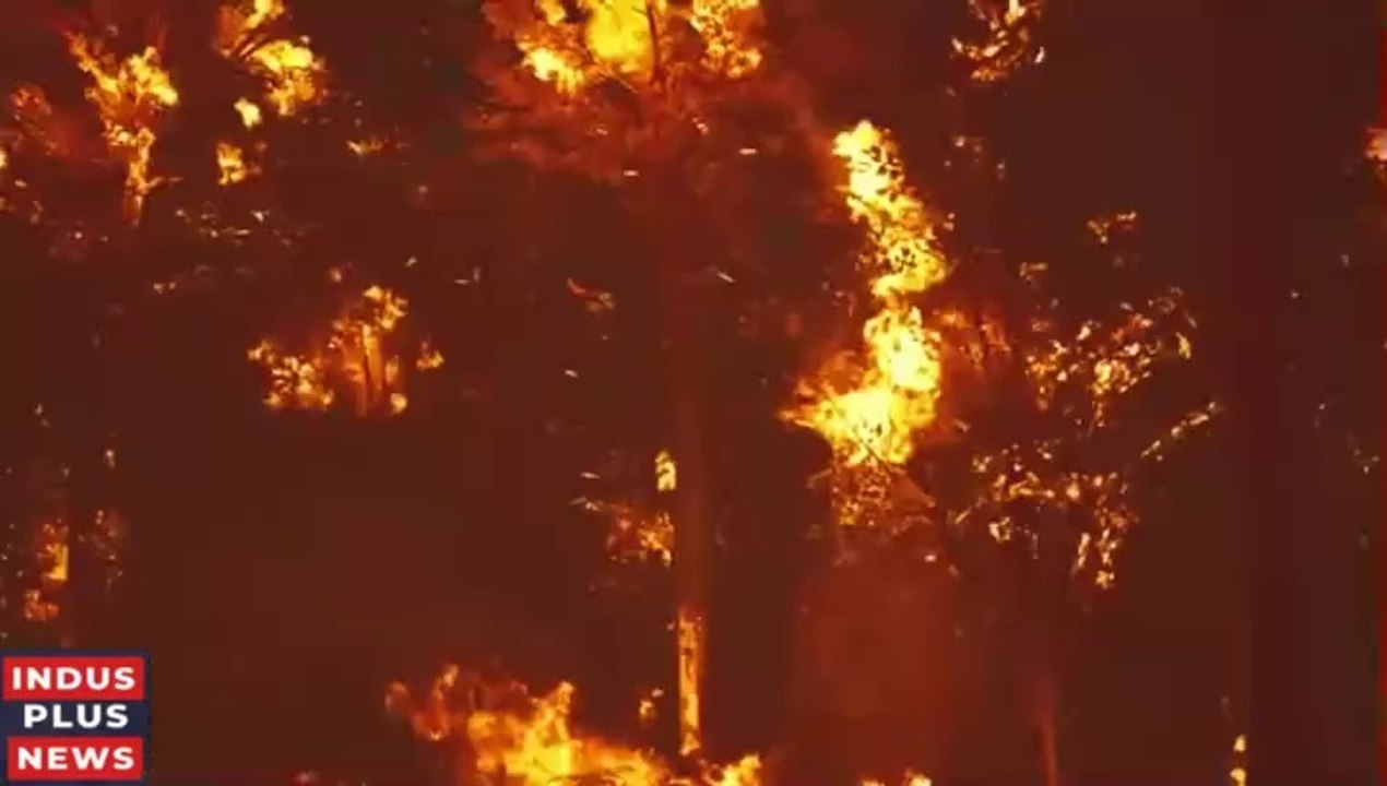 New US ‘Hughes’ Wildfire Rips Through Mountains North of Los Angeles - California Wildfires - Update