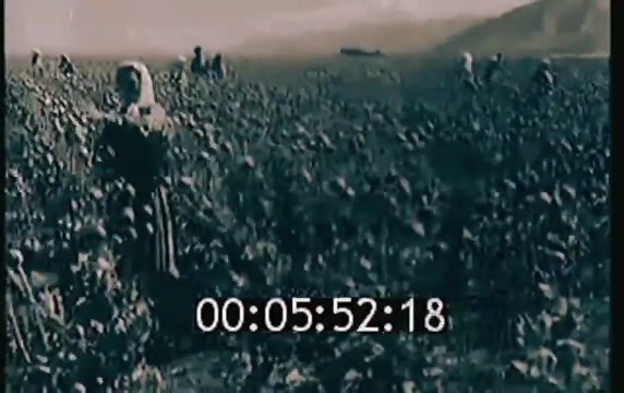 В СССР опиум был для народа