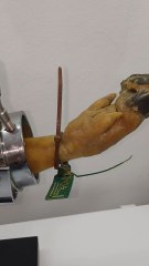 100�jamón ibérico de cebo de campo