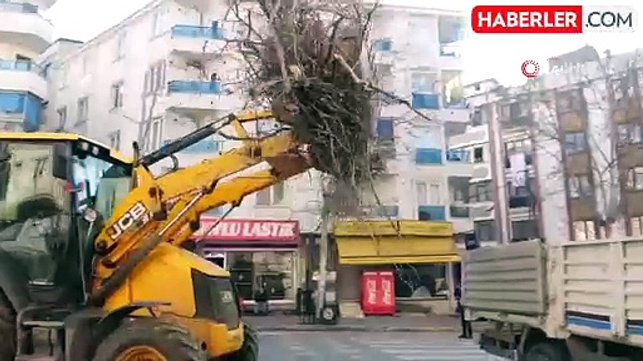 Esenyurt'ta Ağaç Budama Çalışmaları Başladı