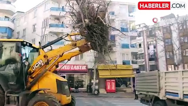 Esenyurt'ta Ağaç Budama Çalışmaları Başladı