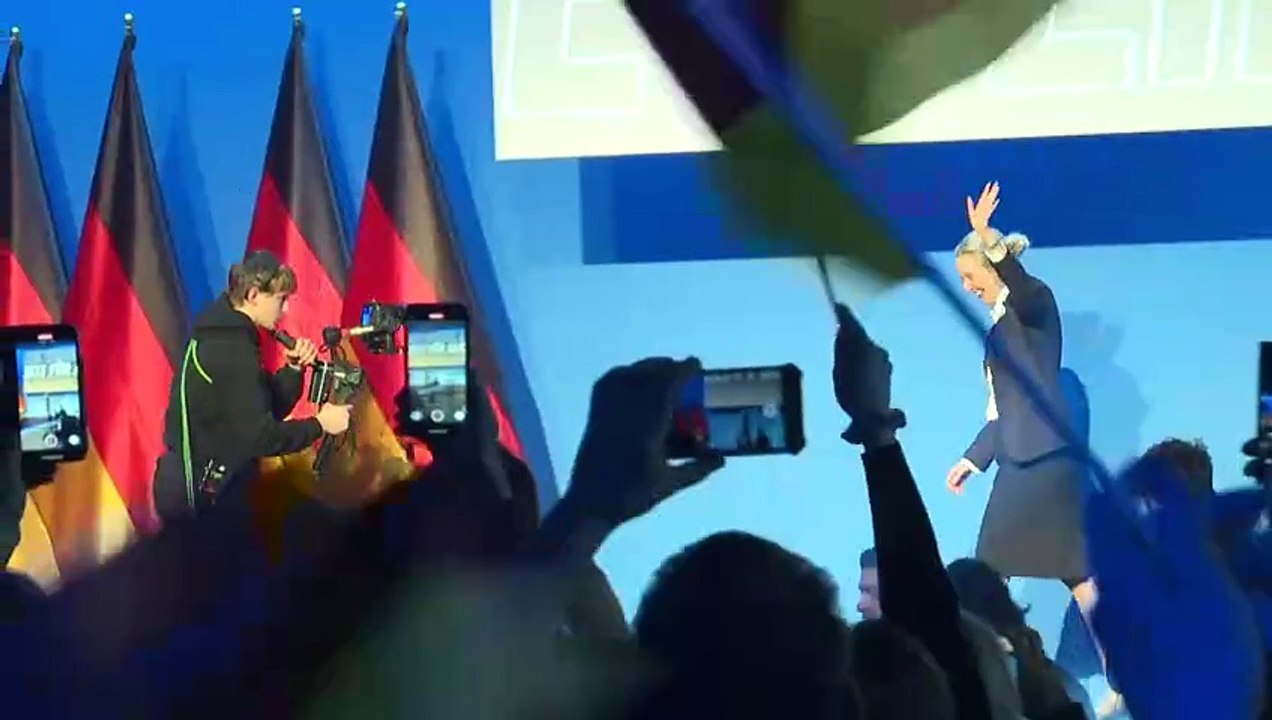 "seid stolz, deutsche zu sein" - musk per video bei afd-wahlkampfauftakt