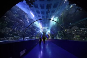 Sevindiren haber! Bedava oldu