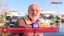 Marmara Denizi'nde müsilaj yeniden görüldü