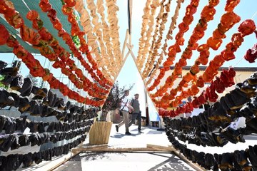 Tarihi ve gastronomisiyle turistleri çekiyor! Son 20 yılın rekoru kırıldı