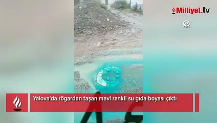 Yalova'da rögardan mavi renkli su taşmıştı! Valilikten açıklama geldi