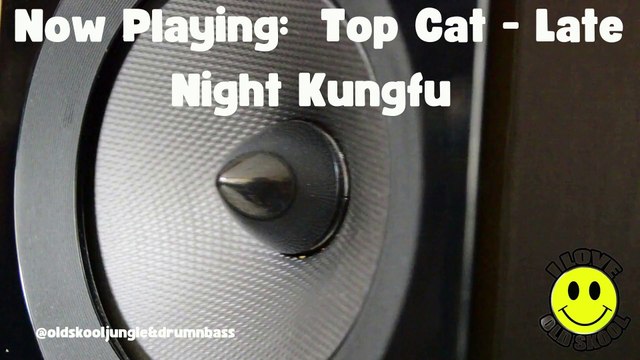 Top Cat - Late Night Kungfu // Old Skool Junge & Drum N Bass