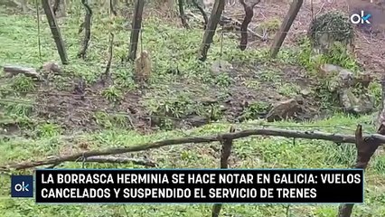 La borrasca Herminia se hace notar en Galicia: vuelos cancelados y suspendido el servicio de trenes