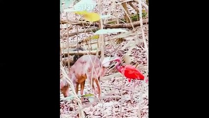 What The Hell is This