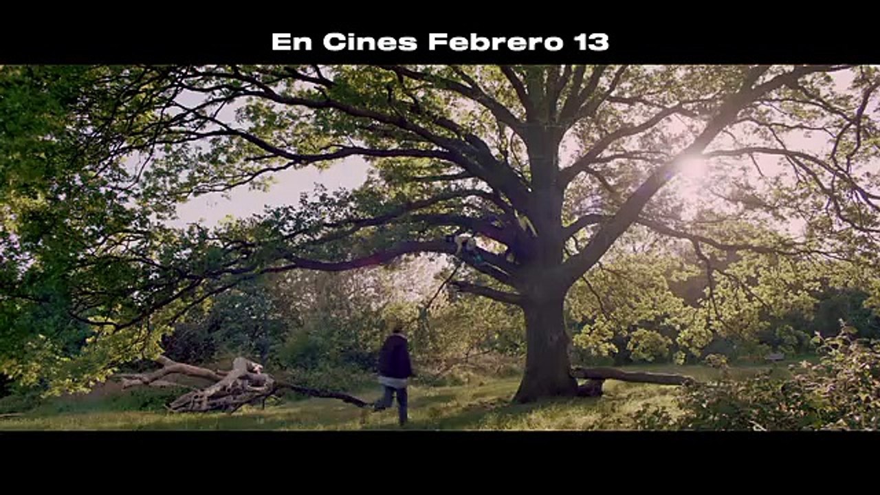 UIP_BRIDGET JONES_BJM4_Horizon_30s_640x360_Febrero13_ENERO 2025