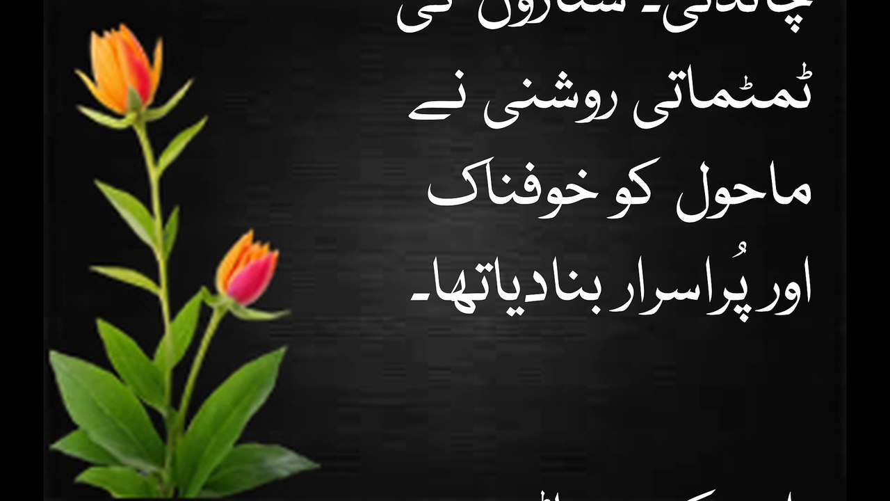 Aik Khoufnak Raat