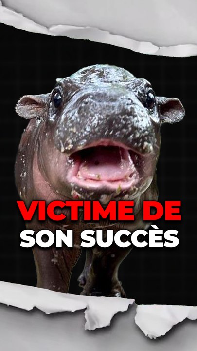 Le pauvre...