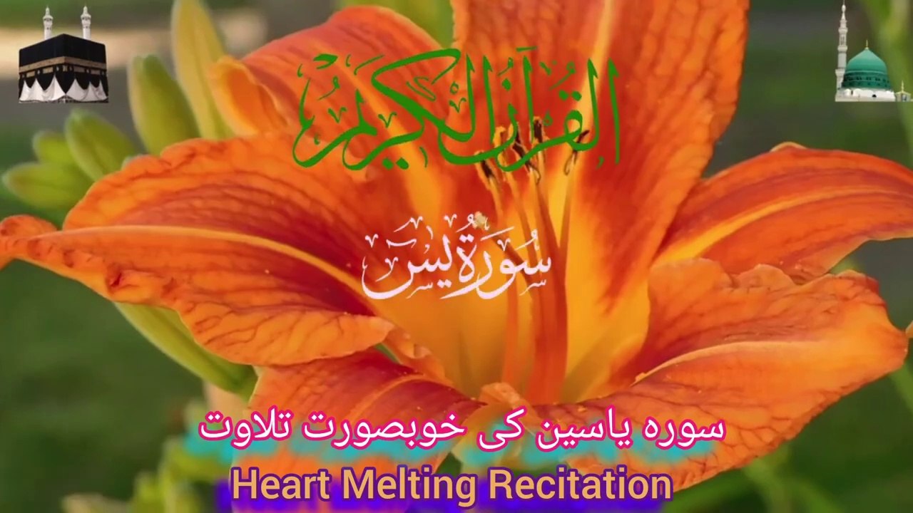 Surah Yasin ( سورہ یاسین پرسکون آواز تلاوت) Relaxing Tilawat _ Surah Yaseen Full Beautiful Recitation
