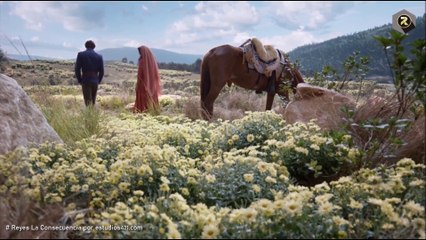 SERIE REYES TEMP 8 CAP 24  Reyes La Consecuencia