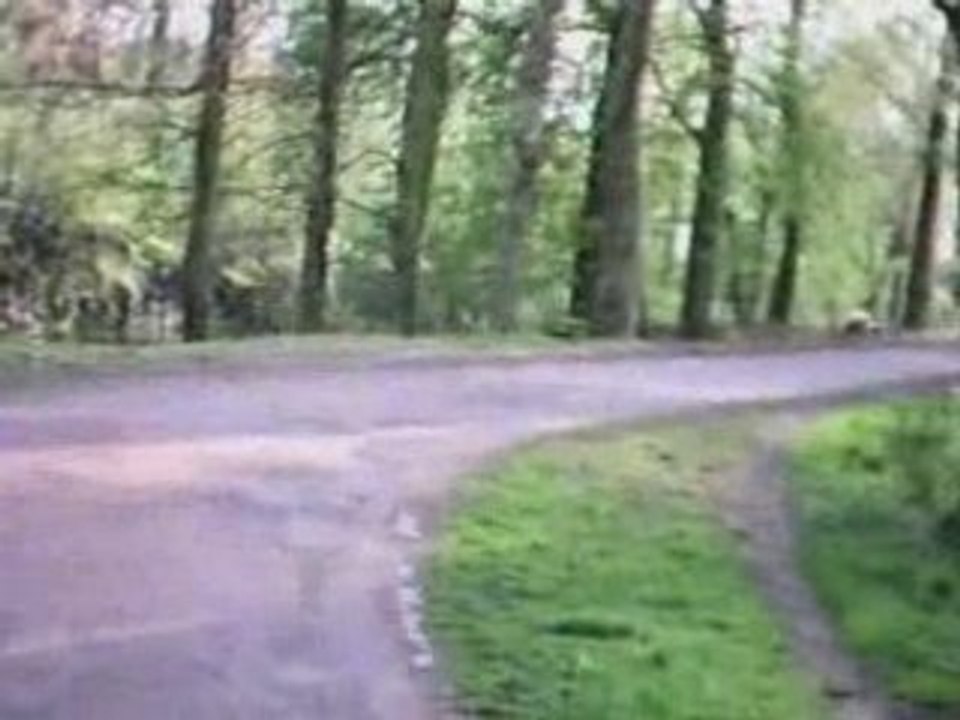 Video en roller à la citadelle de lille avril 2008