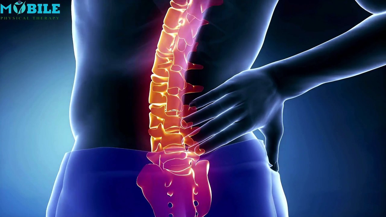 How to Straighten Your Spine with Exercise | 9 Simple Moves for Better Posture