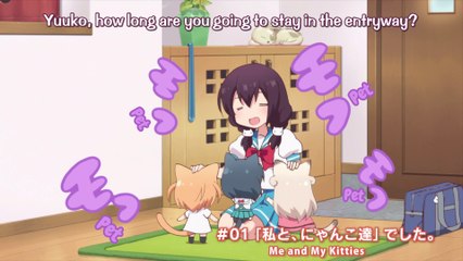 Nyanko Days Episode 01 - Me and My Kitties