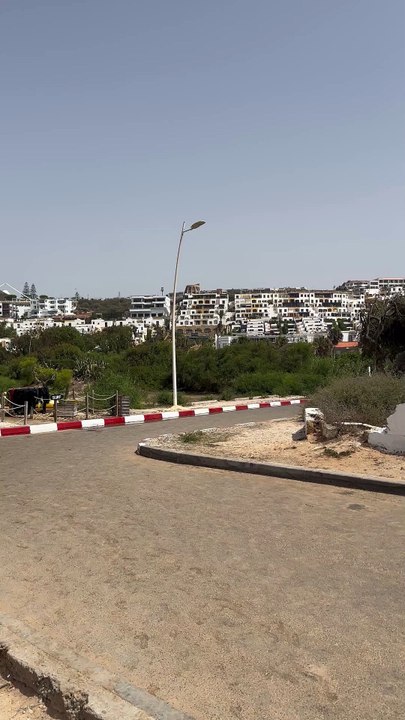Bounzika Maroc