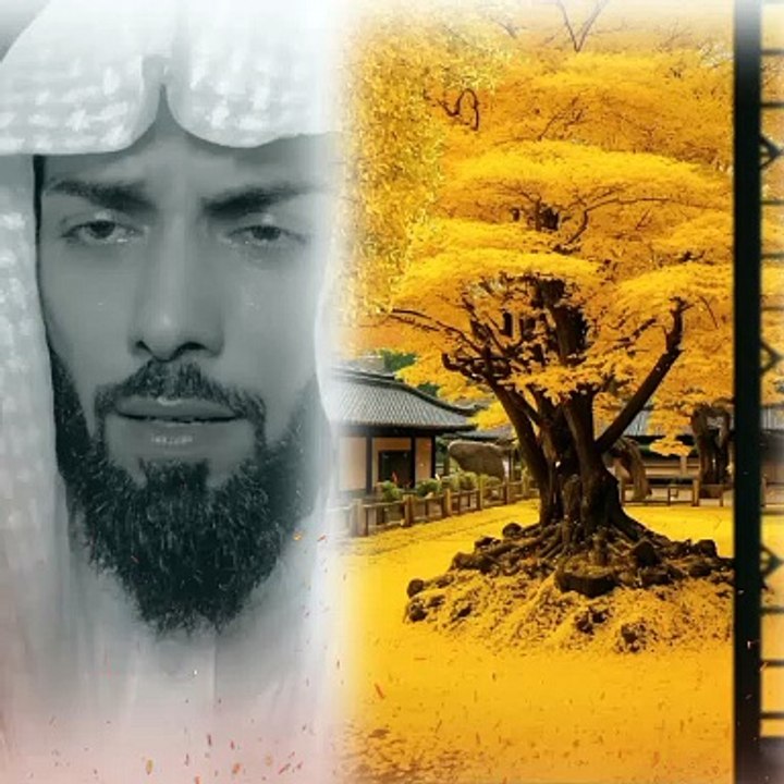 Beautiful tilwat e quran