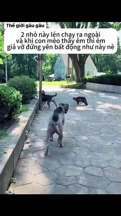 If the enemy doesn't move, we won't move