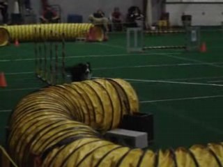 Daniel et Miss enjeu expert 26 mars 2008