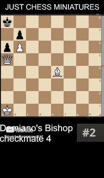 NN vs NN. Damiano's Bishop checkmate 4