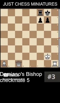 NN vs NN. Damiano's Bishop checkmate 5