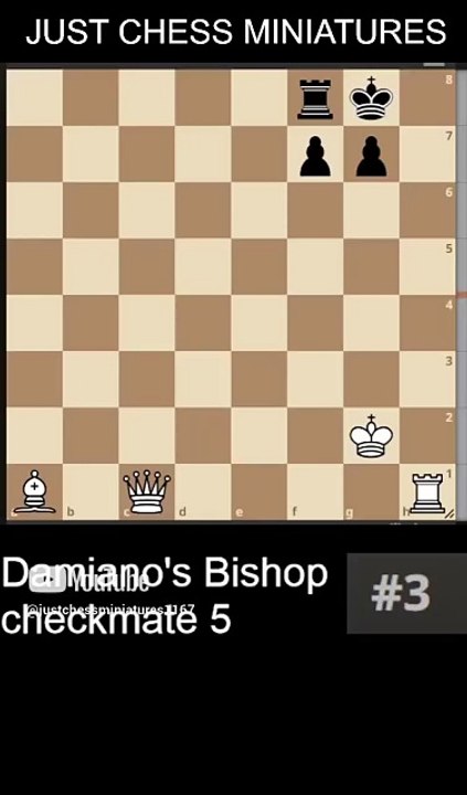 NN vs NN. Damiano's Bishop checkmate 5