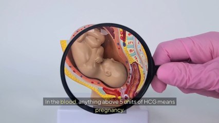 How soon after Intercourse you get to know Pregnancy