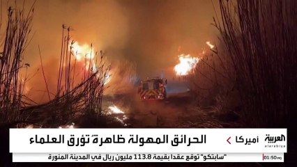 لغز انتشار الحرائق من أوروبا إلى أميركا الشمالية يحير العلماء.. ماذا يعني عصر "بيروسين"؟