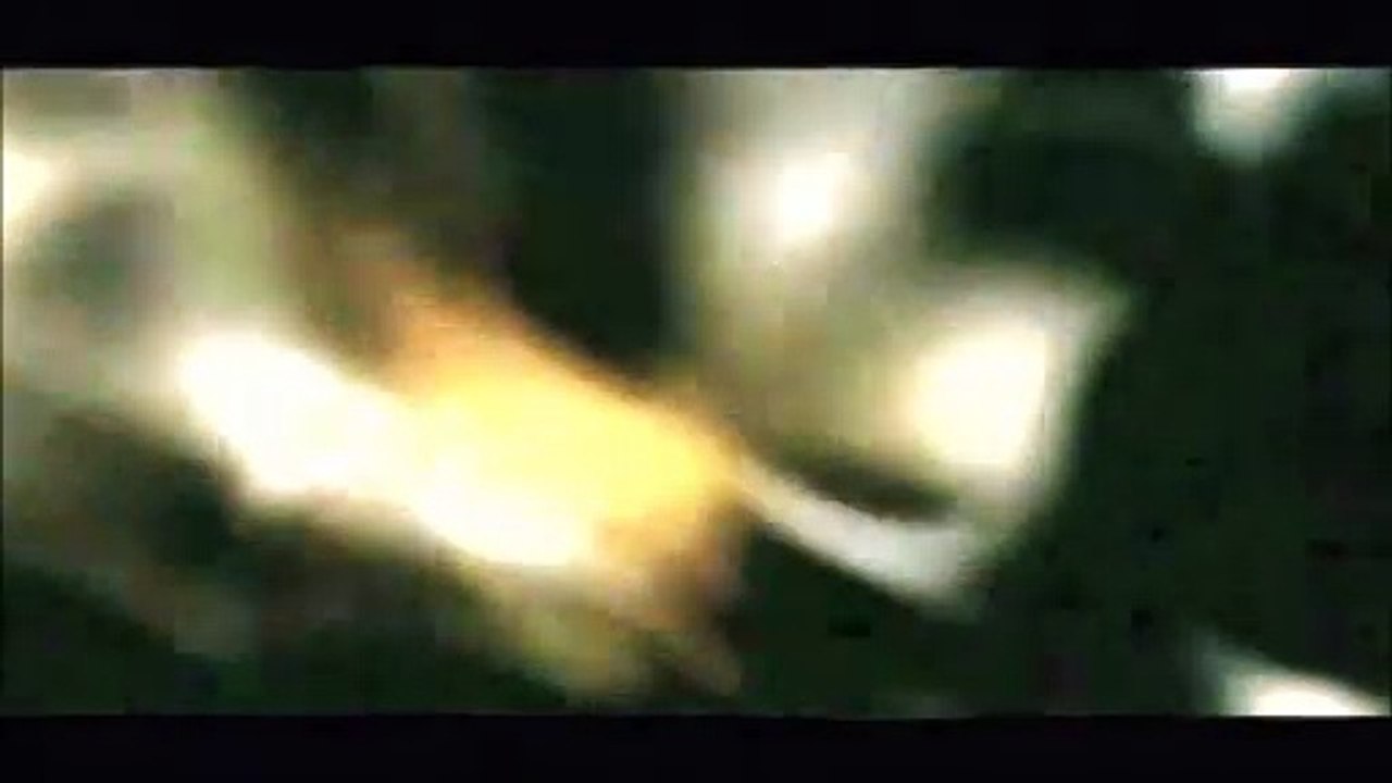 DOLBY DIGITAL