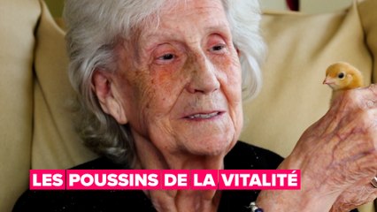 Un petit poussin peut faire un grand travail