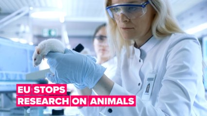 EU to stop using animals in research