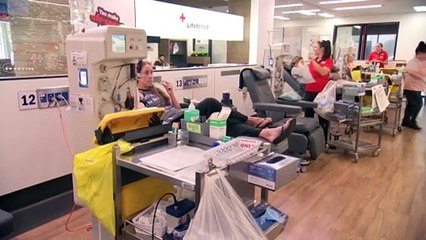 Newcastle vet inspires Lifeblood to donate IV fluids to animal clinics