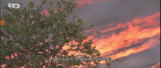 INVESTIGAÇÃO DISCOVERY - CABANA NO BOSQUE  (T1 EPISÓDIO 4)