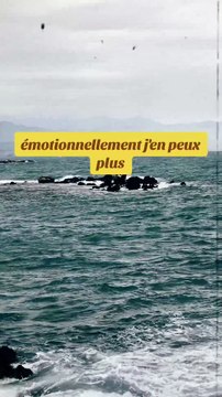 Dire à tout le monde ce que je ressens vraiment #motivation #citation #conseils #inspiration