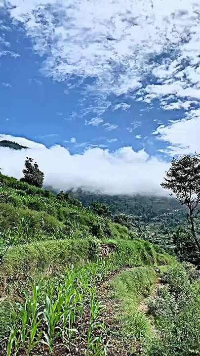 beautiful scenery