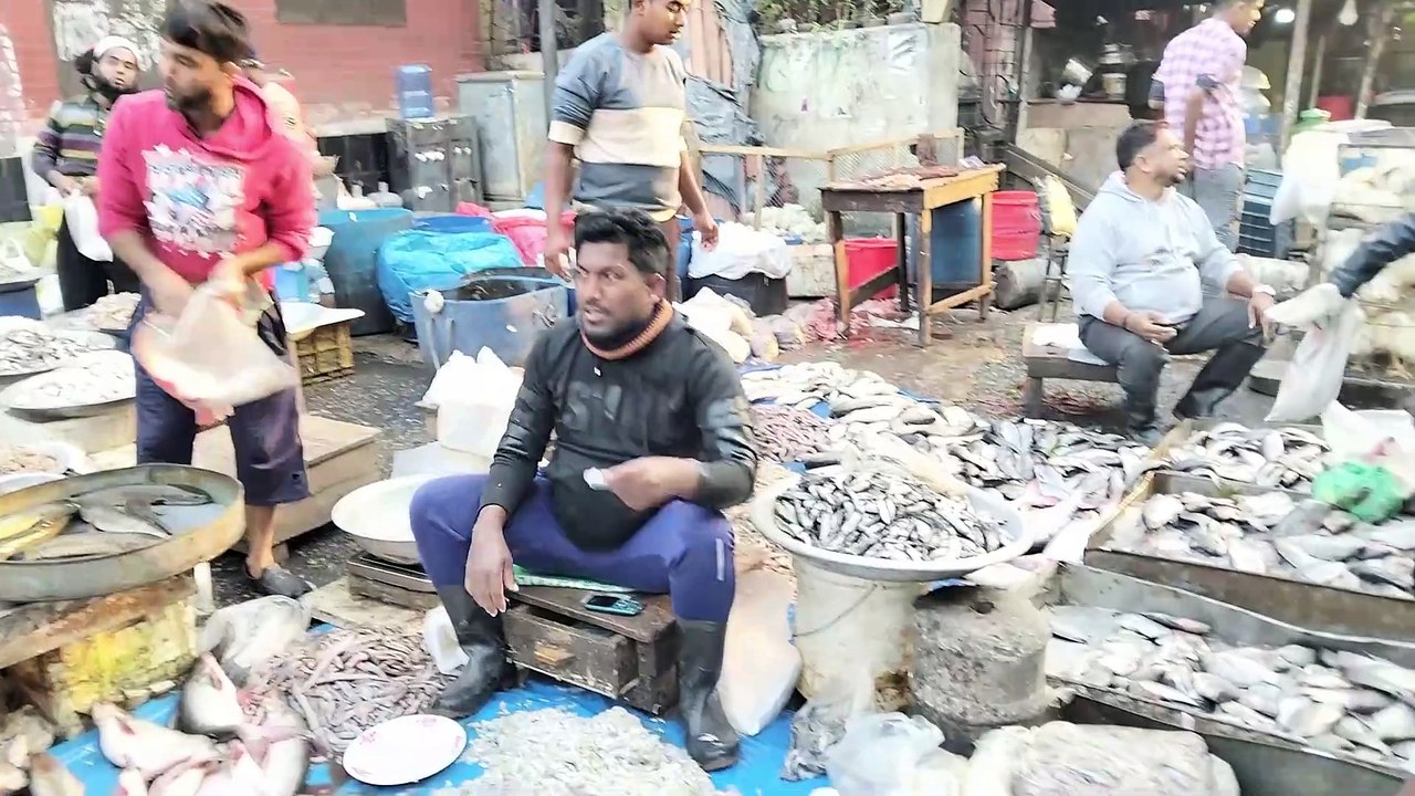 Exploring Indian Fish Market