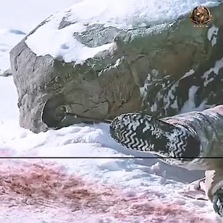 Sniper movie