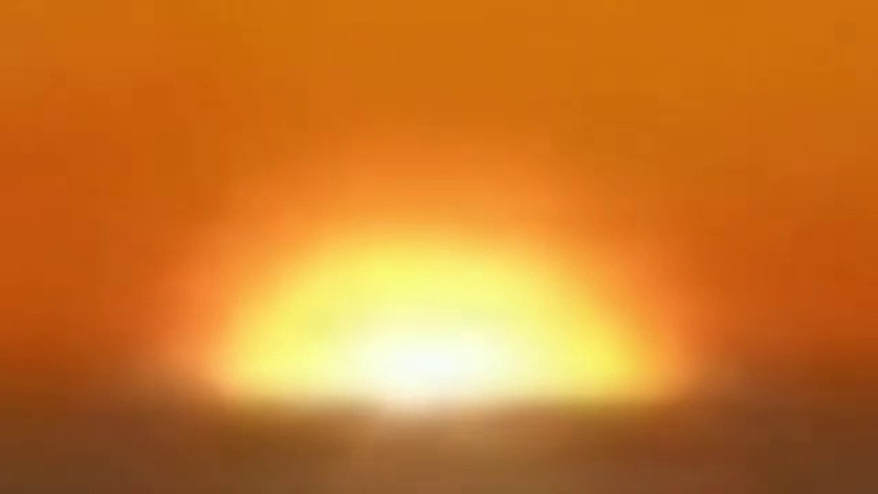Loyal Trust intro