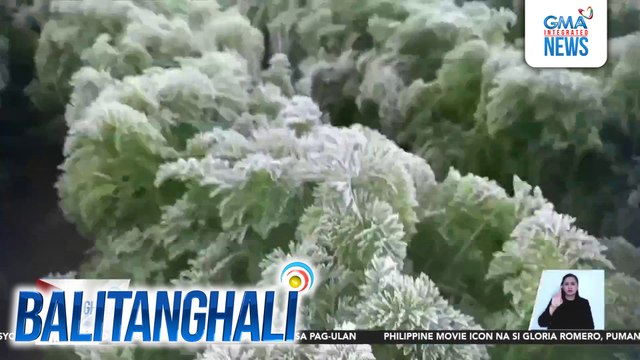 Andap, muling bumalot sa ilang pananim sa Atok; 9.4°C naitalang pinakamababang temperatura ngayong Amihan season | Balitanghali