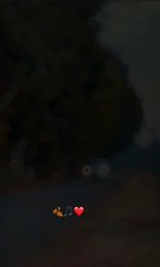 Corolla lovers #corolla