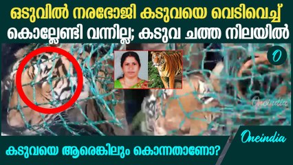 മാനന്തവാടിയെ വിറപ്പിച്ച നരഭോജി കടുവ ചത്തതോ കൊന്നതോ?