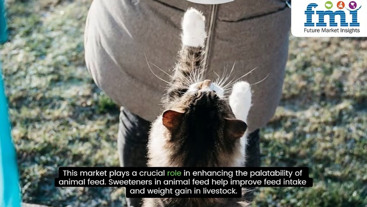 Why Animal Feed Sweeteners Are Transforming Livestock Nutrition!