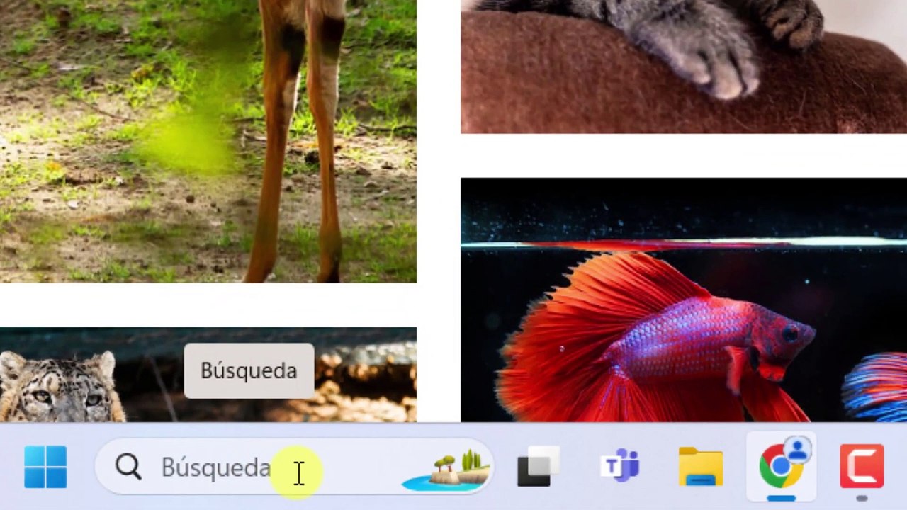 Como Guardar Capturas de Pantalla en Windows 11 2025