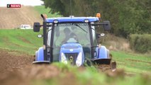 Crise des agriculteurs : une proposition de loi va être étudiée au Sénat aujourd'hui pour les soutenir