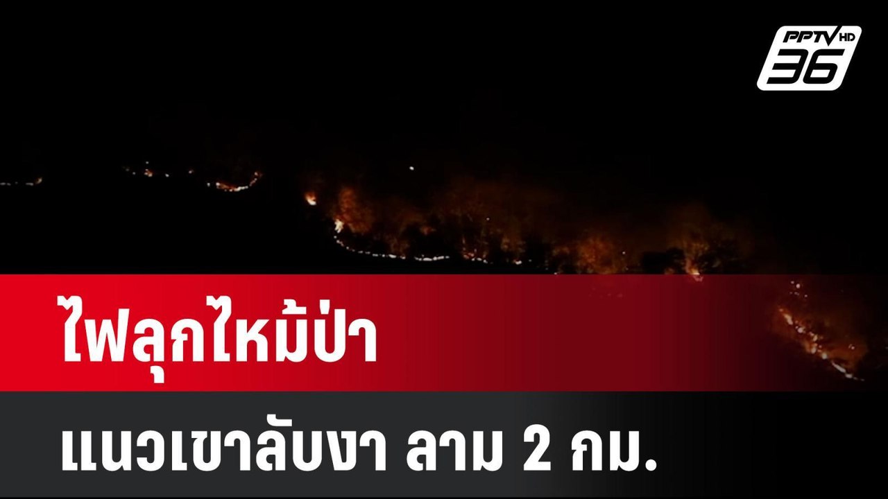 ไฟลุกไหม้ป่าแนวเขาลับงา ลาม 2 กม.| เที่ยงทันข่า...
