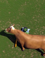 Hulk sleeping disturb 😋