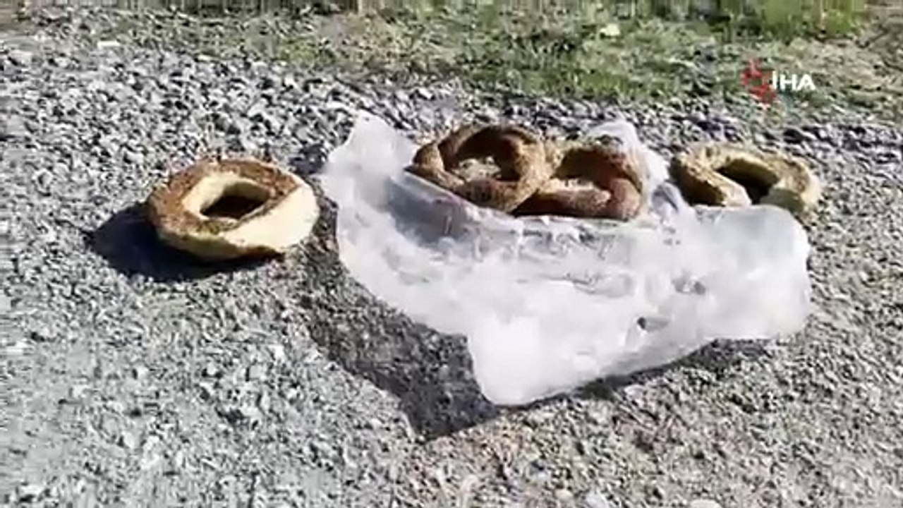 Sokak hayvanları için yollara bırakılan yiyecekler sağlığı tehdit ediyor